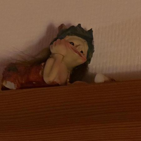 Trollhus - Grosses Familienfreundliches Ferienhaus บอร์น ภายนอก รูปภาพ