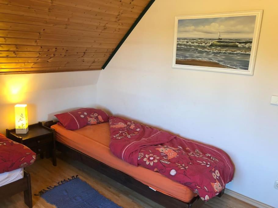 Trollhus - Grosses Familienfreundliches Ferienhaus บอร์น ภายนอก รูปภาพ